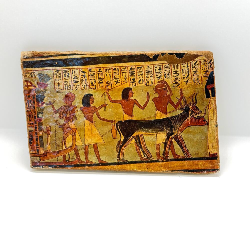 VTG Egyptian Art of Papyrus Tomb of‎ Roy Hieroglyphics Luxor on 6x4 Fiberboard